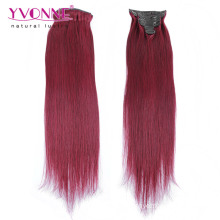 Fashion Color Remy Human Hair Clip in Hair Extensions